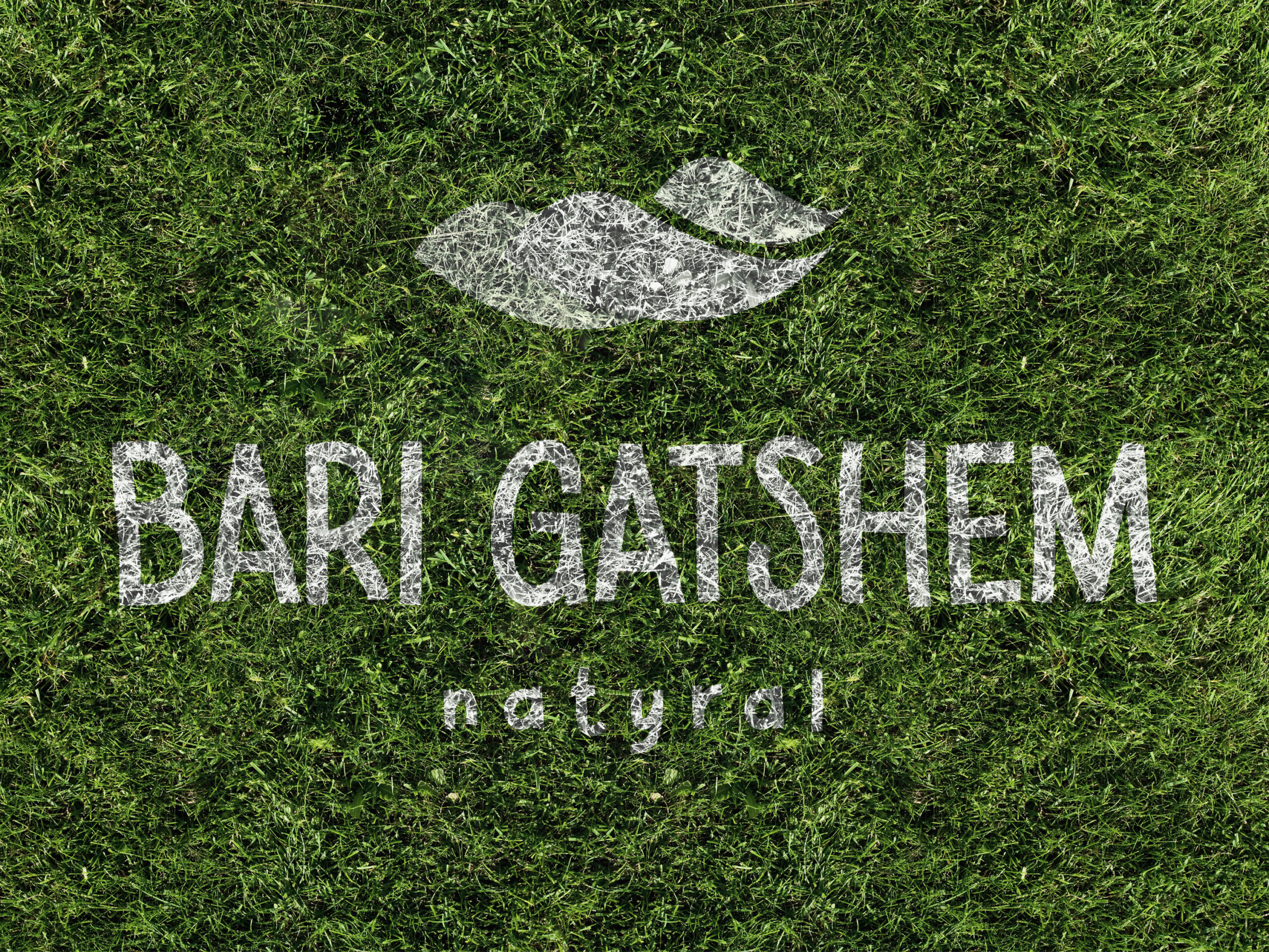 grass scaled | DETAY Tech