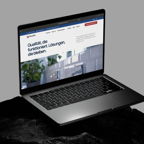 Palushi GmbH website — Swiss sanitary company website built by DETAY Tech Switzerland