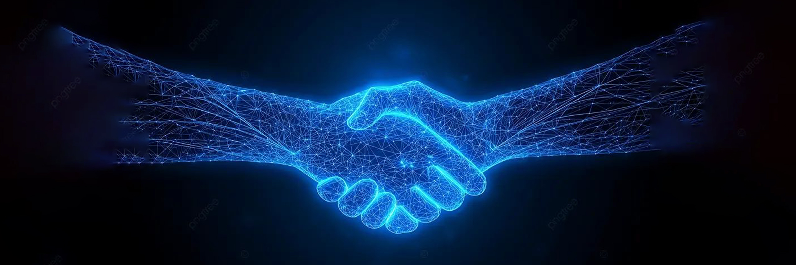 Consulting - DETAY Tech is the the best company in Kosovo for Consulting