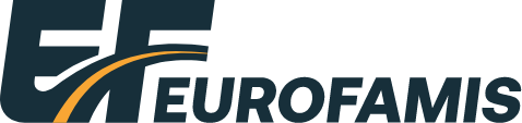 Euro Famis logo — Kosovo company brand identity designed by DETAY Studio
